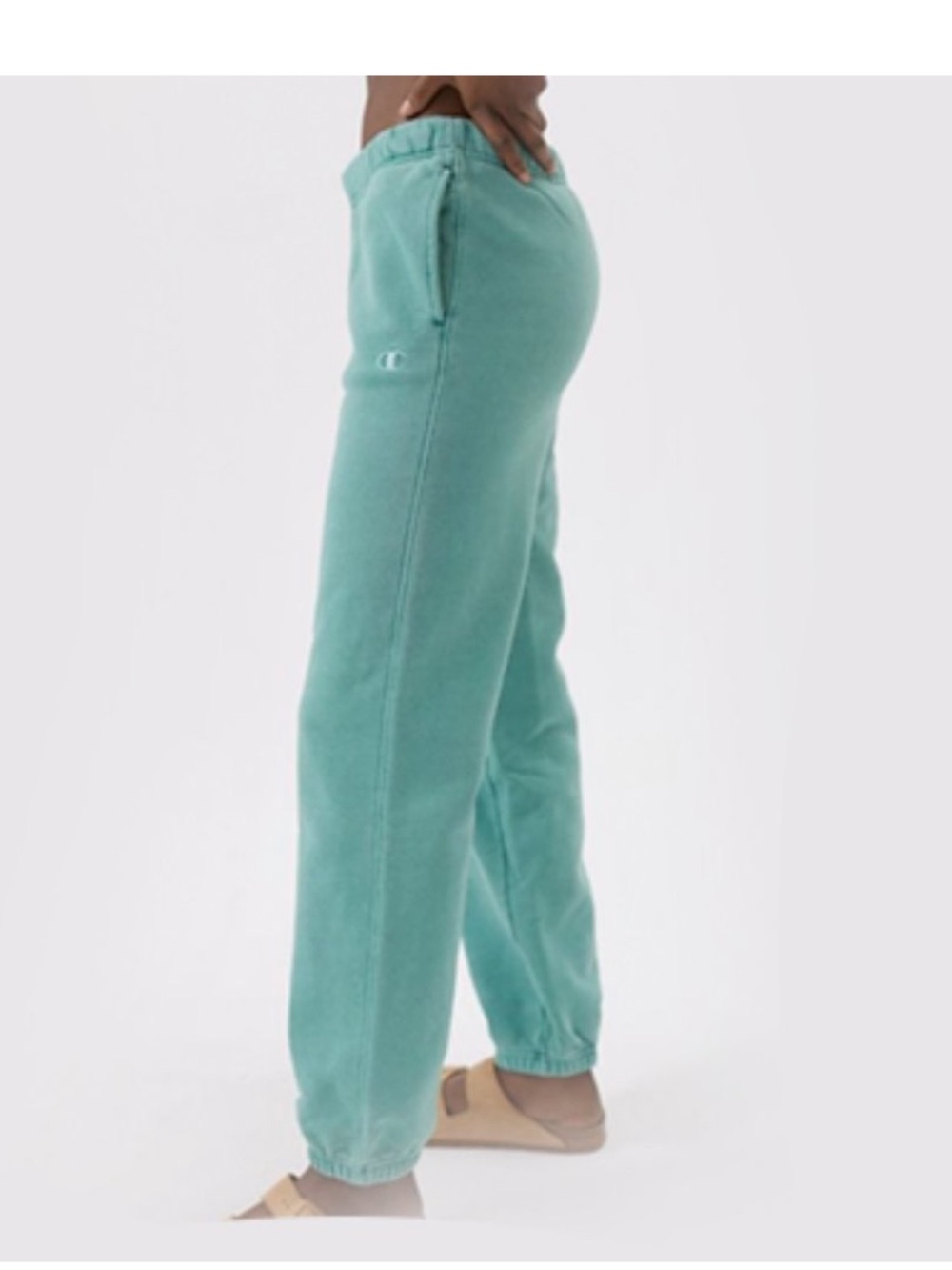Champion Classic Reverse Weave  small